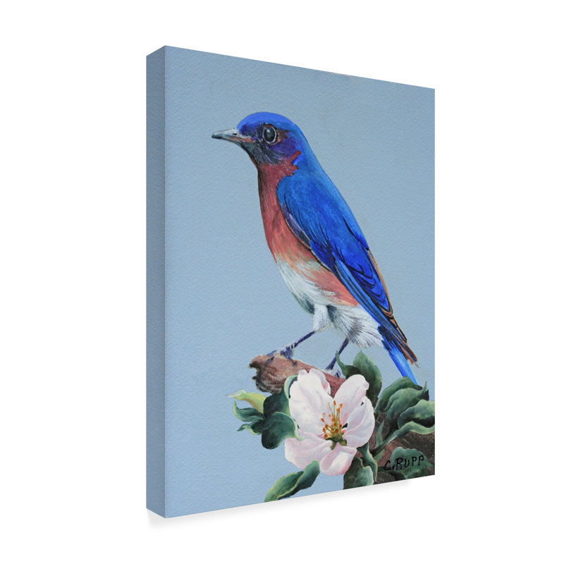 Charlton Home Eastern Bluebird In Trees Acrylic Painting Print