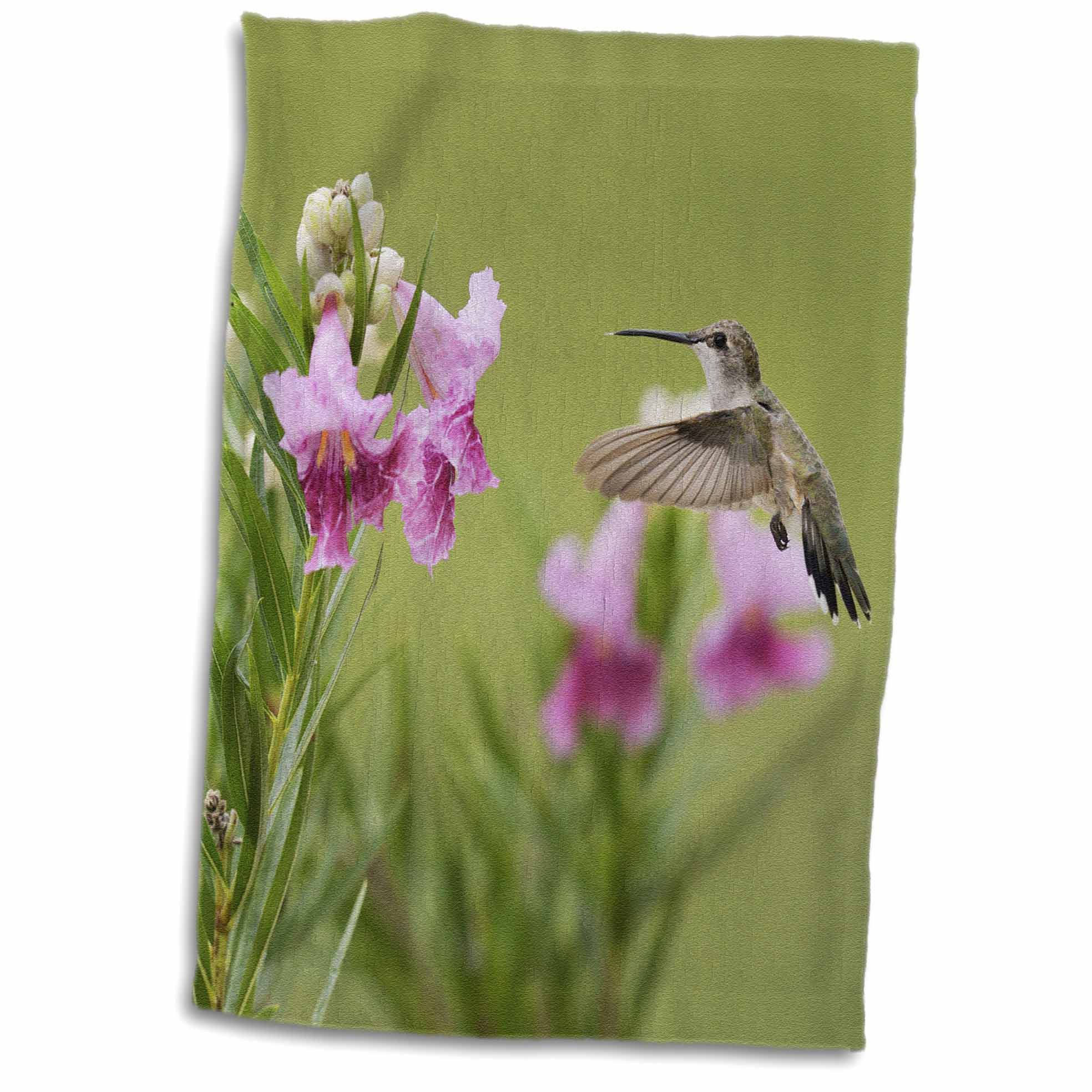 East Urban Home Kailey Ruby Throated Hummingbird At Desert Willow Hill Country Texas Hand Towel Wayfair