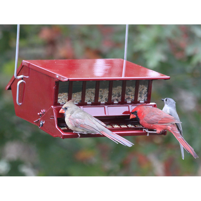 Woodlink Hopper Bird Feeder Wayfair Ca