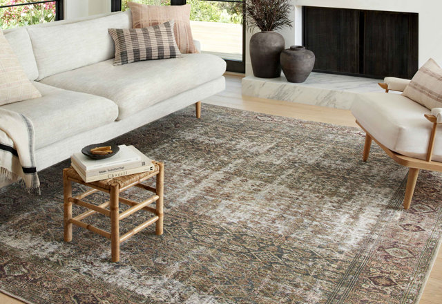 Area Rugs for Less