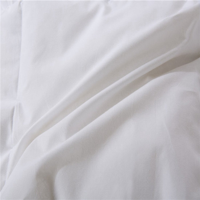 Alwyn Home Lightweight All Season Goose Down Comforter Reviews