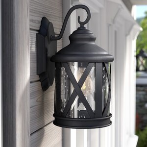 Zeigler 1-Light Outdoor Wall Lantern