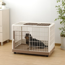 molded plastic dog crates