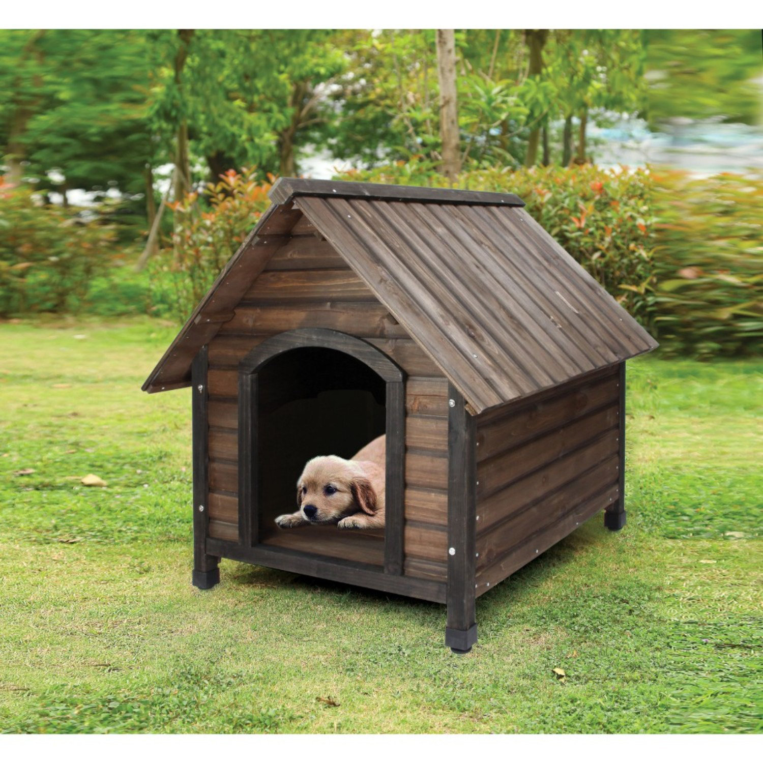 dog house made of wood