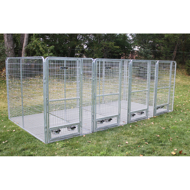 raised dog cages