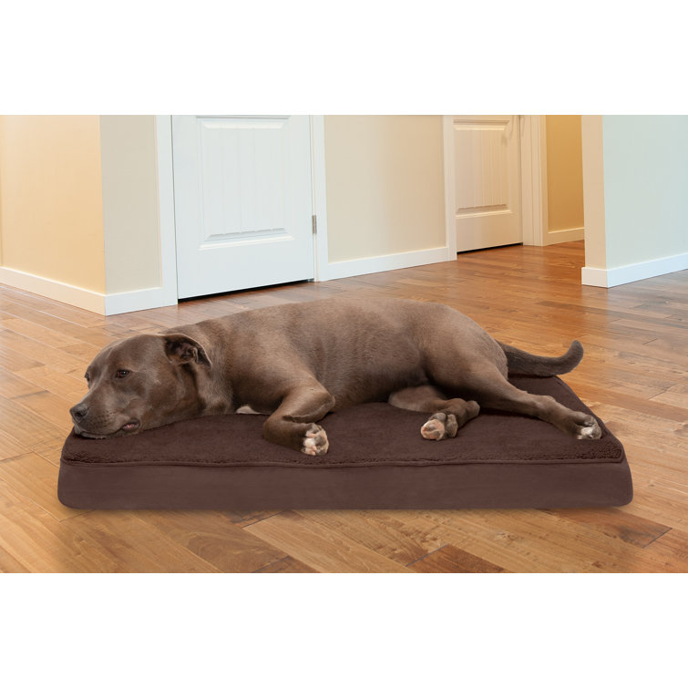heated pet mat canada