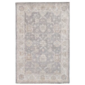 Hand-Knotted Gray/Beige Area Rug