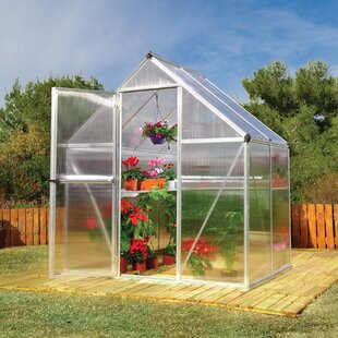 Mythos 6 Ft W X 4 Ft D Greenhouse By Palram