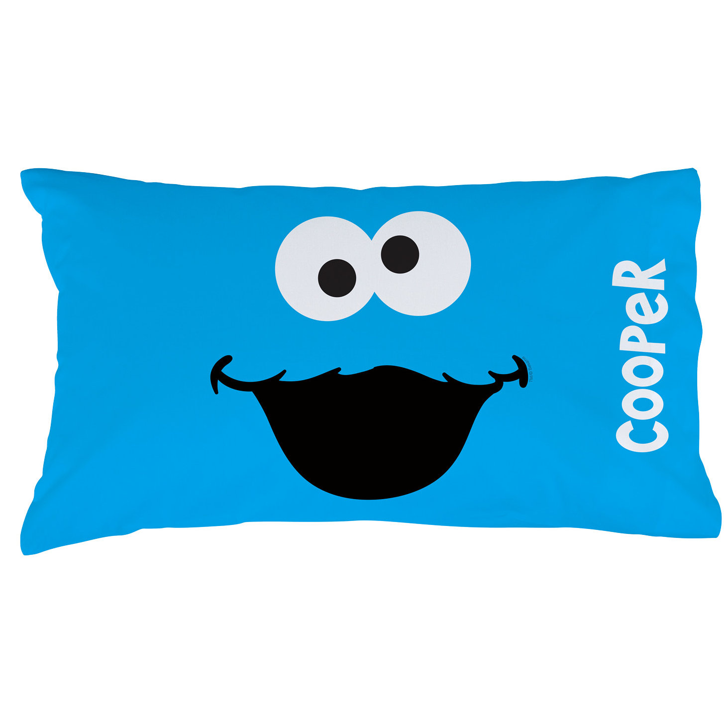 Cps Personalized Sesame Street Cookie Monster Pillow Case Wayfair