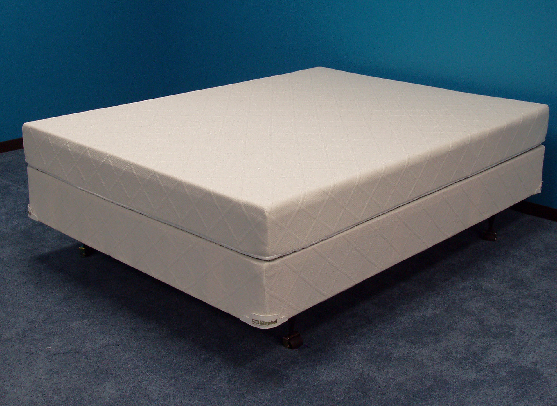 Strobel Technologies Winners Funy Cide No Cover Top Only 9" Waveless