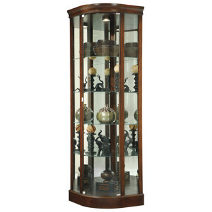 Go to store & view more images Darby Home Co Brinker Curio Cabinet