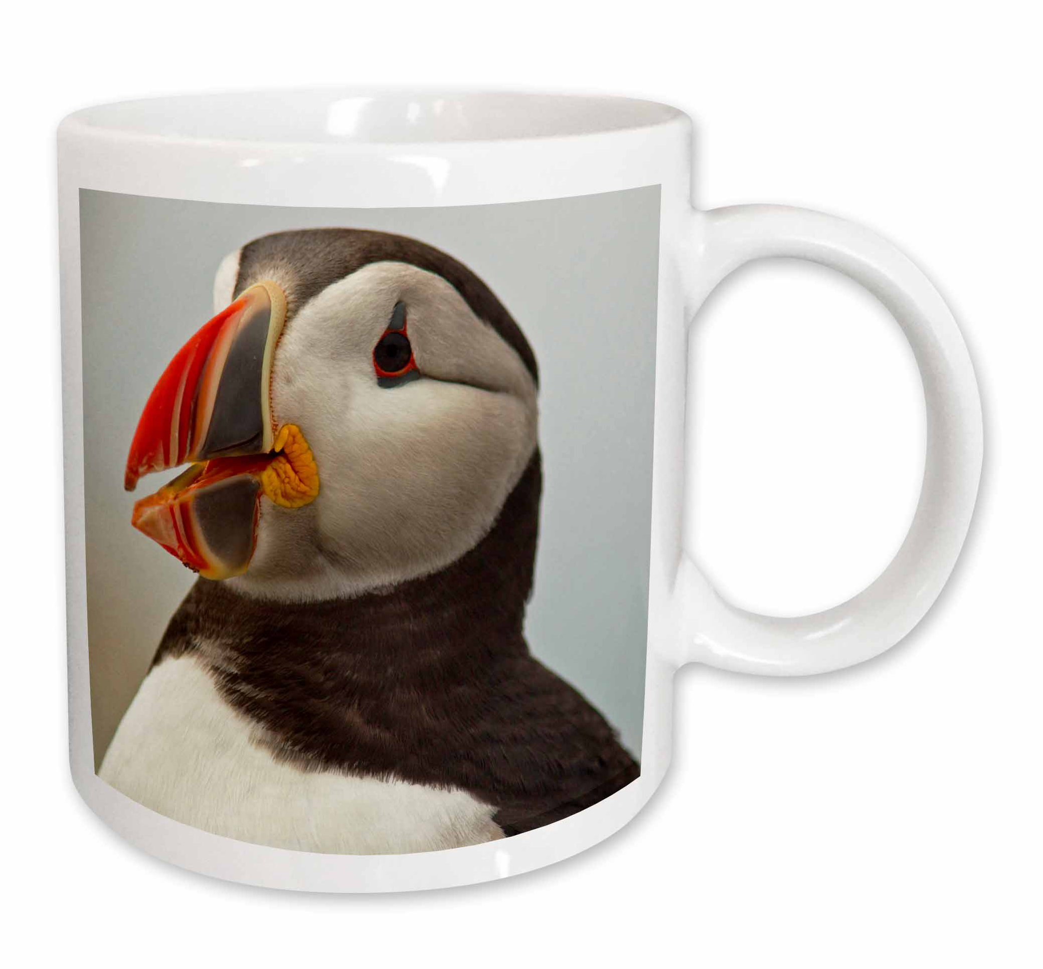 East Urban Home Atlantic Puffins Machias Seal Island Cutler Maine Coffee Mug Wayfair