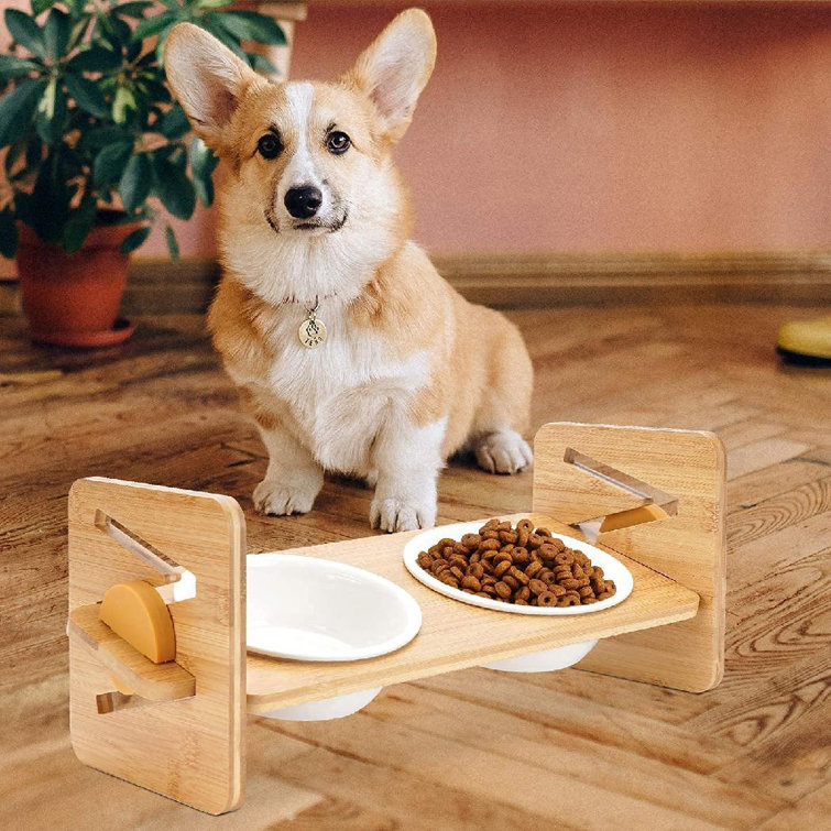 dog water and food bowl stand
