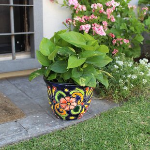 Large Violetera Talavera Planter Indoor Outdoor Flower Pot