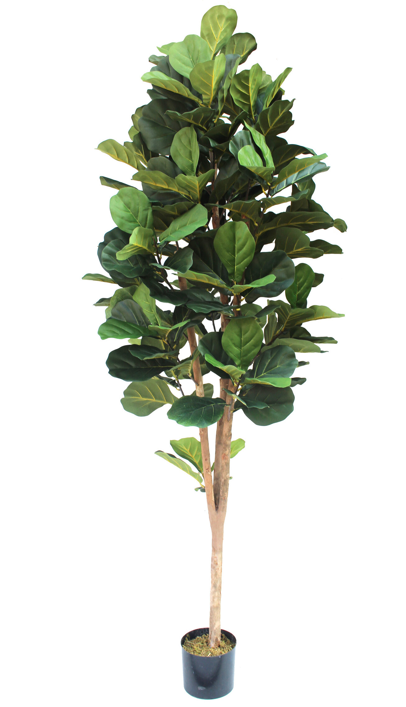 Gracie Oaks Silk Fiddle Leaf Fig Tree In Pot & Reviews 