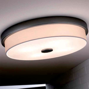 Raphael 4-Light Flush Mount
