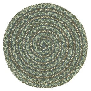 Cappuccino Braided Indoor/Outdoor Area Rug