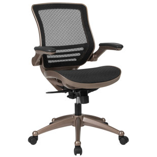 Go to store & view more images Ebern Designs Mignone Mid-Back Transparent Swivel Mesh Office Chair