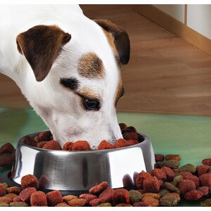 Tex Anti-Microbial Pet Place Mat