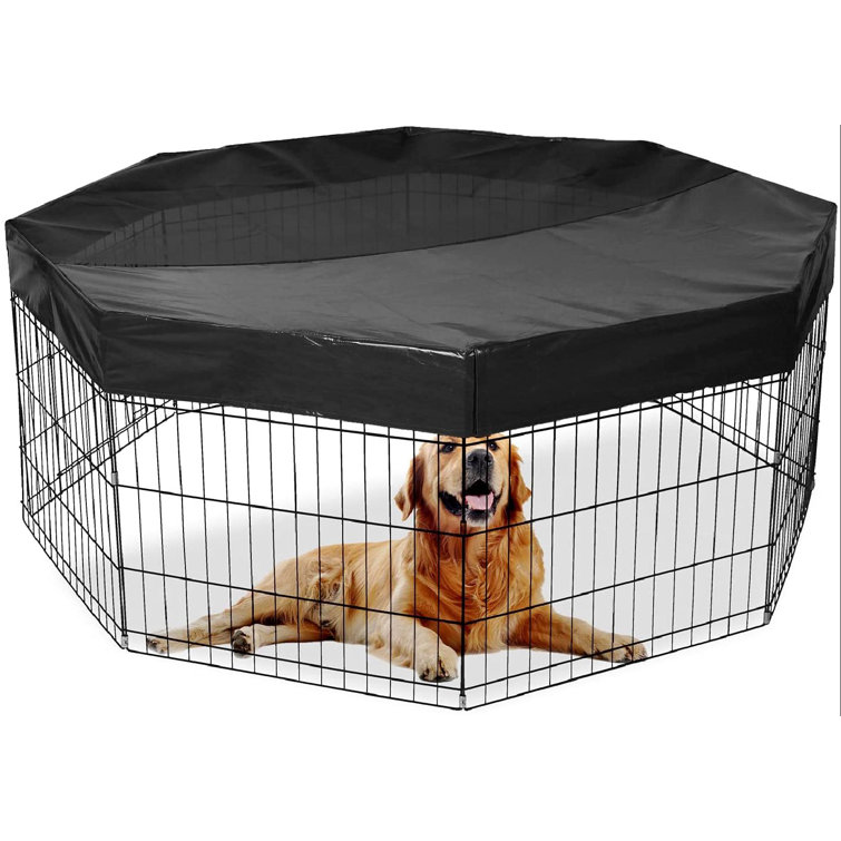 dog pen area