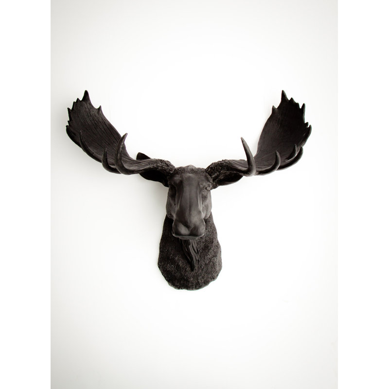 White Faux Taxidermy The Edmonton Moose Head Wall Décor Wayfair The Edmonton Faux Moose Head Wall Décor