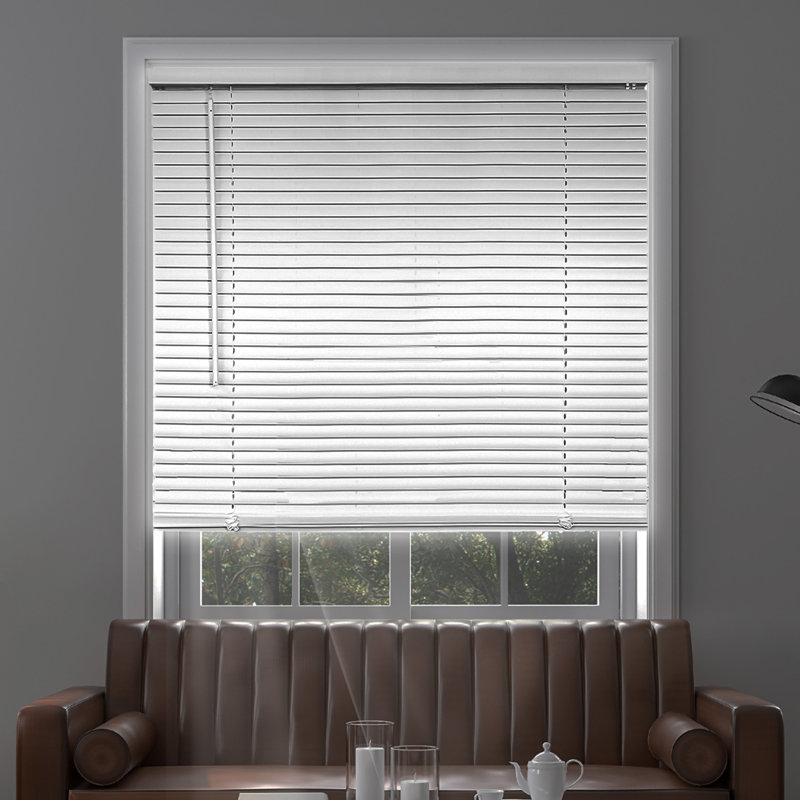 Blackout Mini Vinyl Blinds Blind Size: 16"W x 36"L
