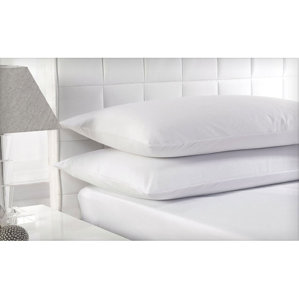Beauty Sleep Feather Pillow (Set of 2) by Alwyn Home