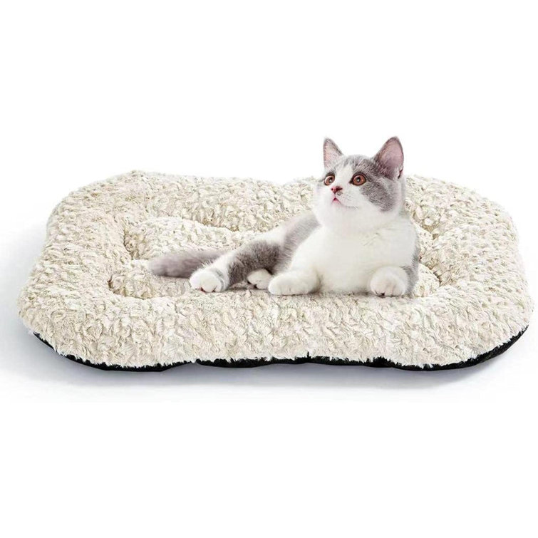 self heating dog bed