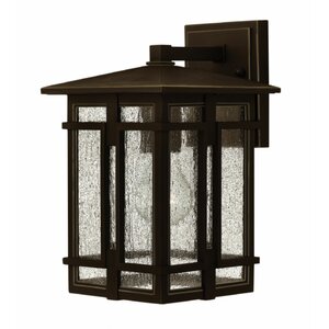 Tucker 1-Light Outdoor Wall Lantern