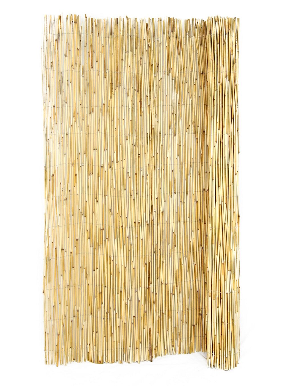 W Natural Peeled and Polished Reed Fencing Hampton Bay 4 ft H x 8 ft