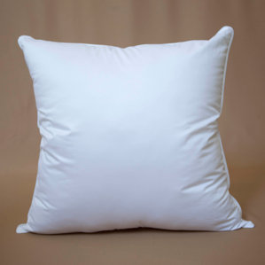 230 Thread Count Polyfill European Pillow (Set of 2) by Sealy