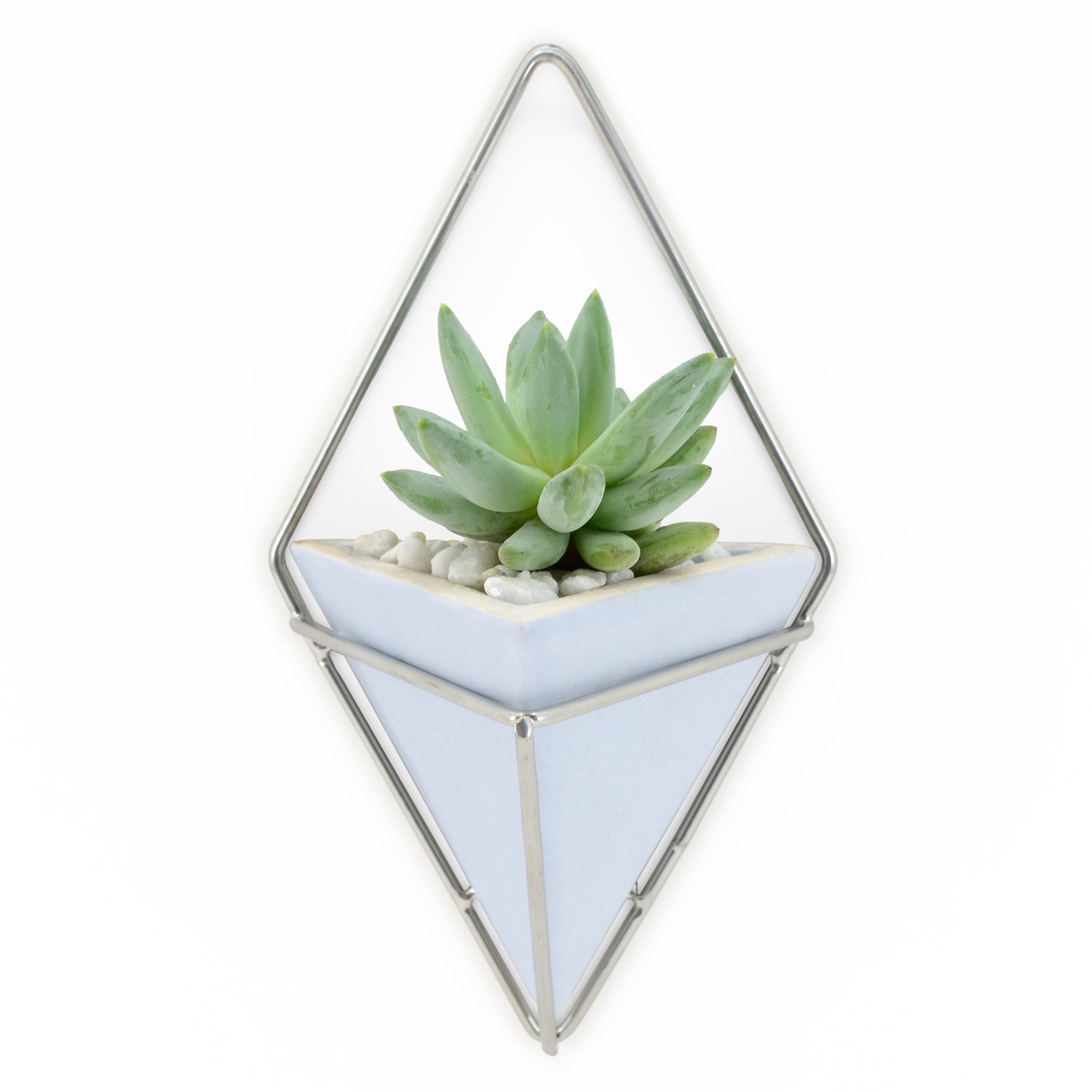 Small Wall Mounted Planters You Ll Love In 2021 Wayfair
