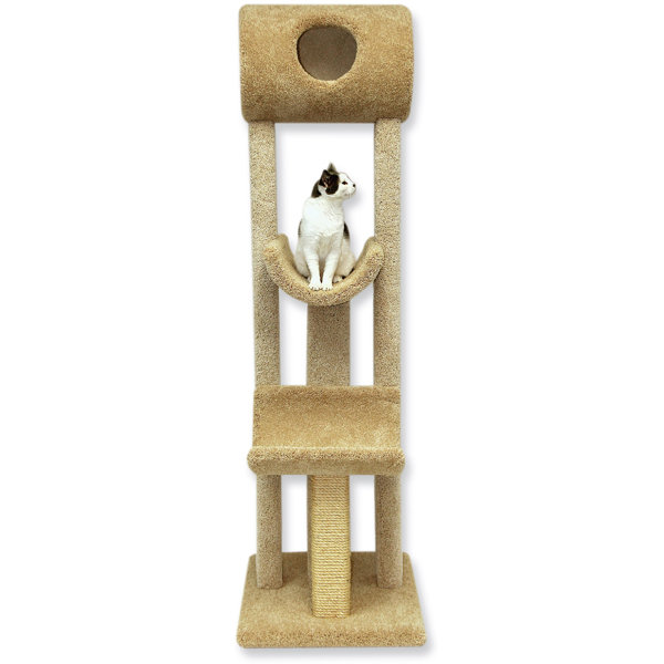 midnight molly cat scratcher