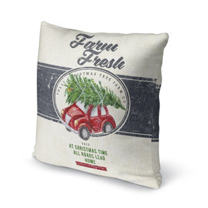 Darren Farm Fresh Outdoor Throw Pillow