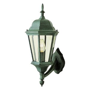 Paulornette 1-Light Outdoor Sconce