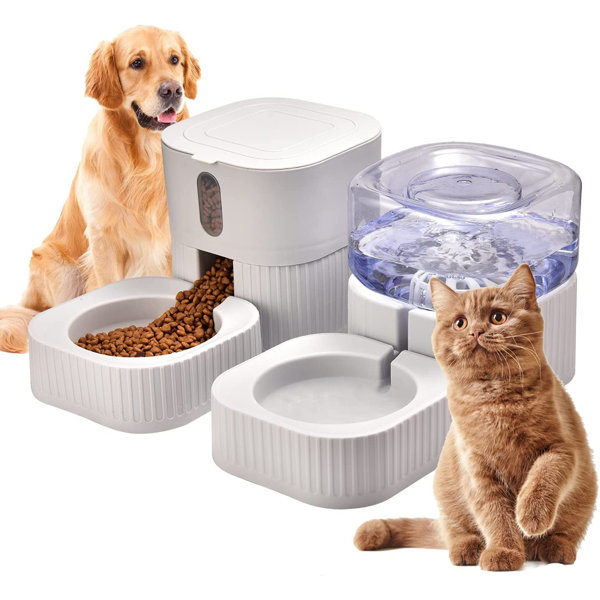 big w pet feeder