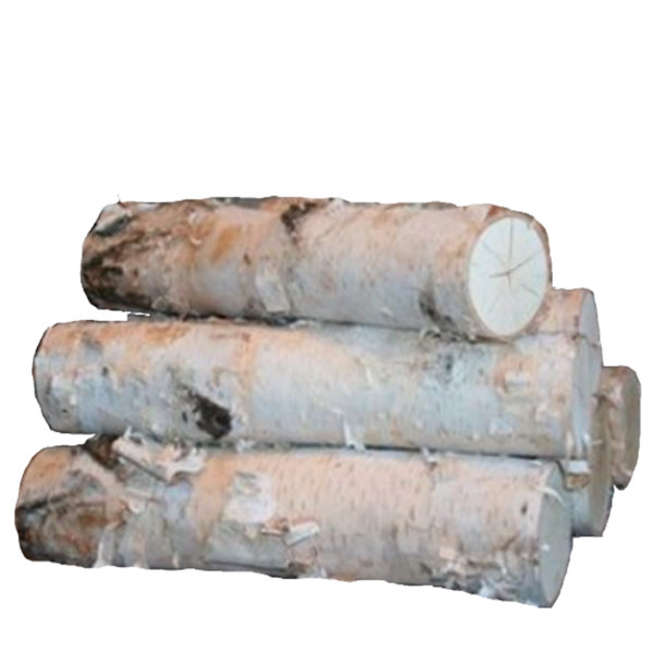 Fake Birch Logs Wayfair