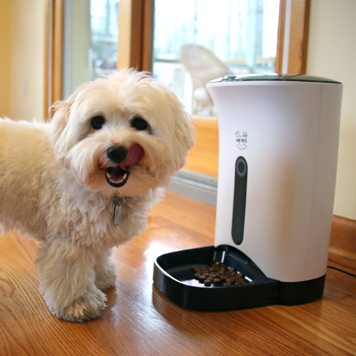 Arf Pets Pet Food Dispenser Automatic Feeder Wayfair