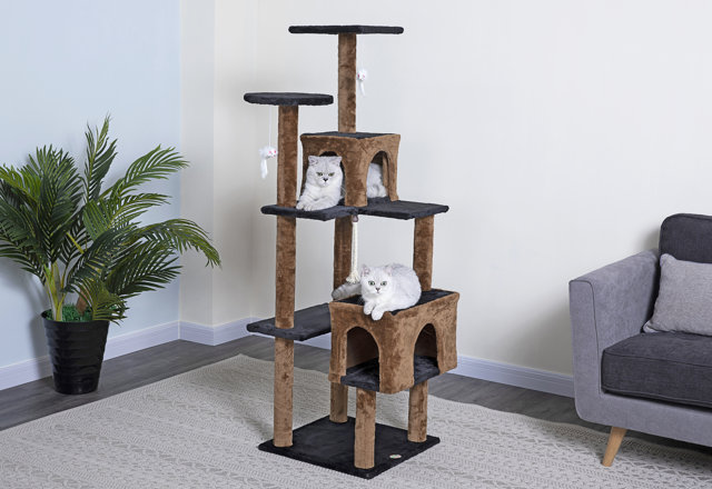 Top-Rated Cat Trees