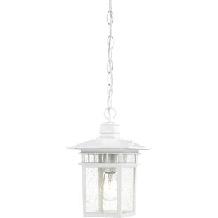 Valeri 1 Light Outdoor Hanging Lantern Span Class productcard review