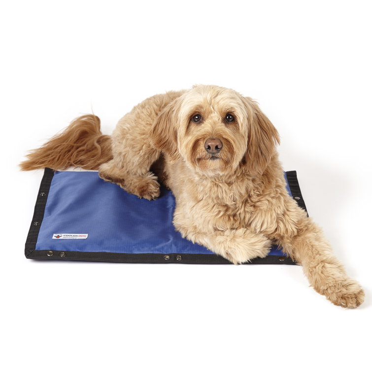 hydro cooling mat