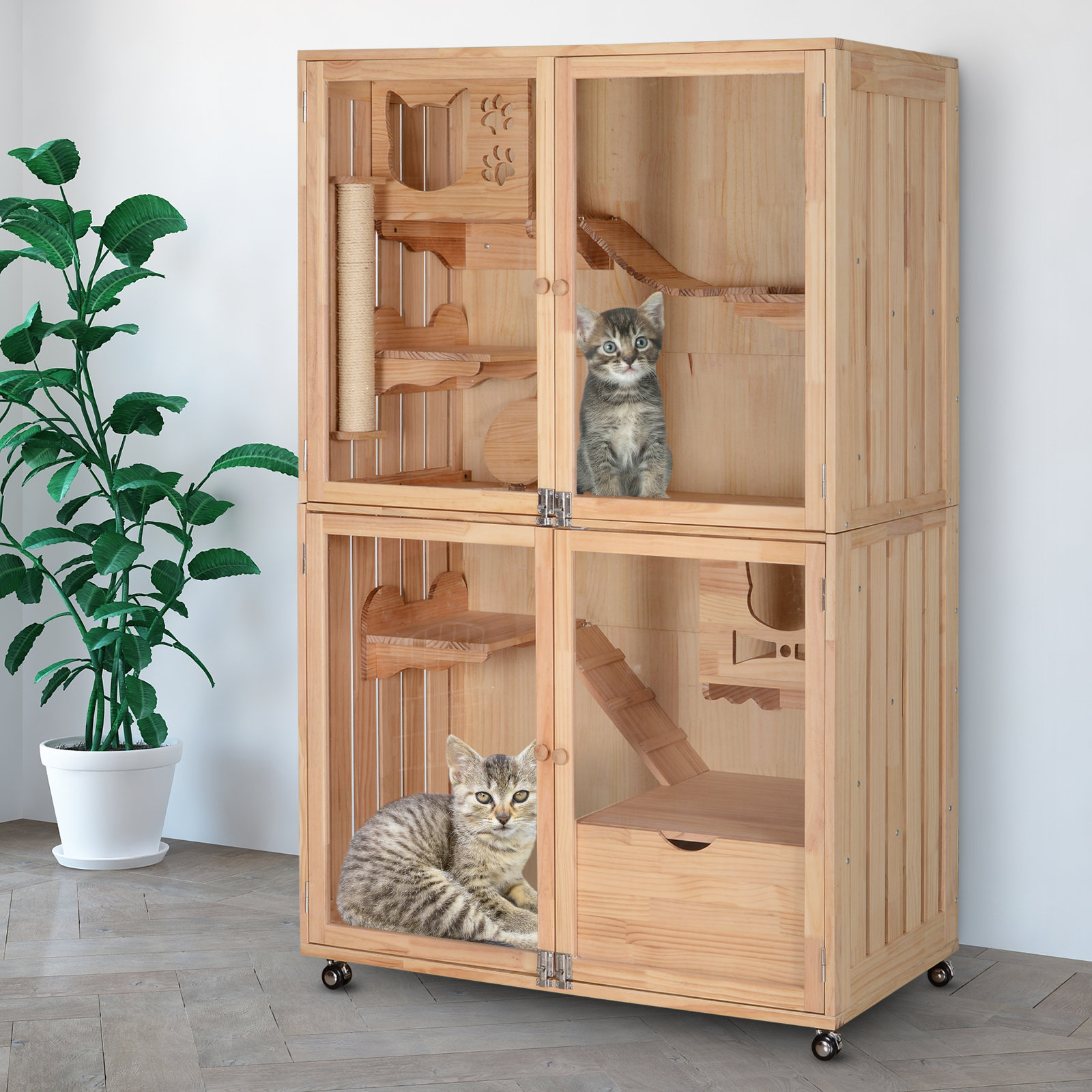 Pawhut Wooden Mutil Feature Cat House Condo With Scratching Post Nap Area Acrylic Panel Jumping Platform Litter Box Wayfair