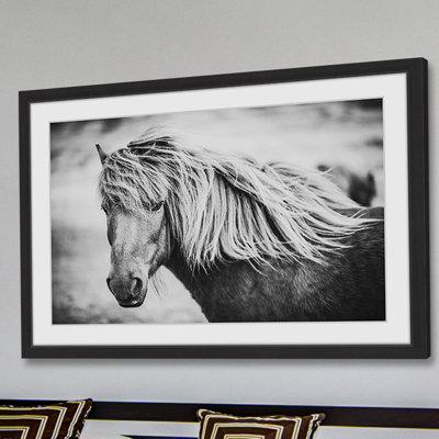'Beautiful Mane' Framed Photographic Print on Paper