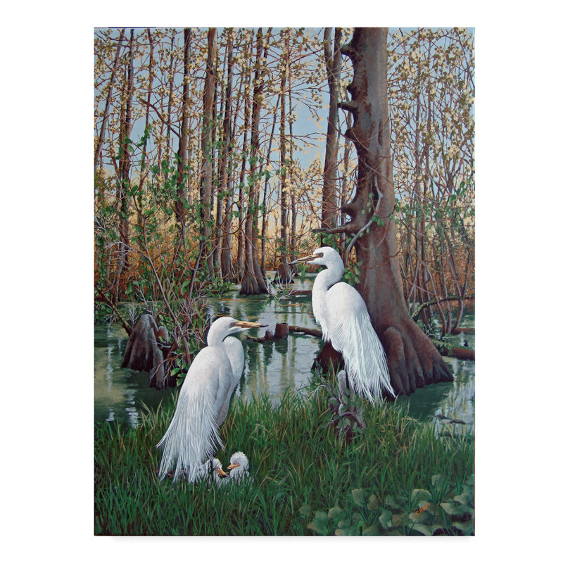 Highland Dunes Snowy White Egret Nesting Acrylic Painting Print