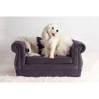 darlene dog sofa