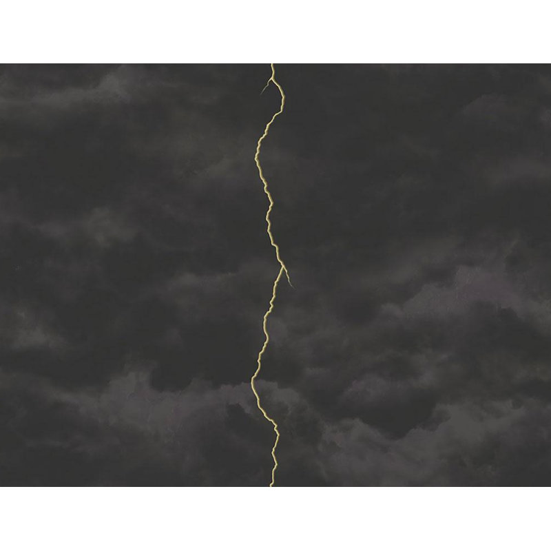 Wrought Studio Borasisi Lightning 26 9 L X 27 W Wallpaper Roll