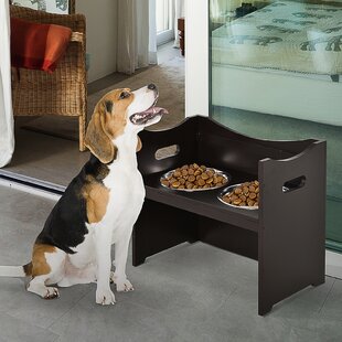 stainless steel dog bowls elevated stand