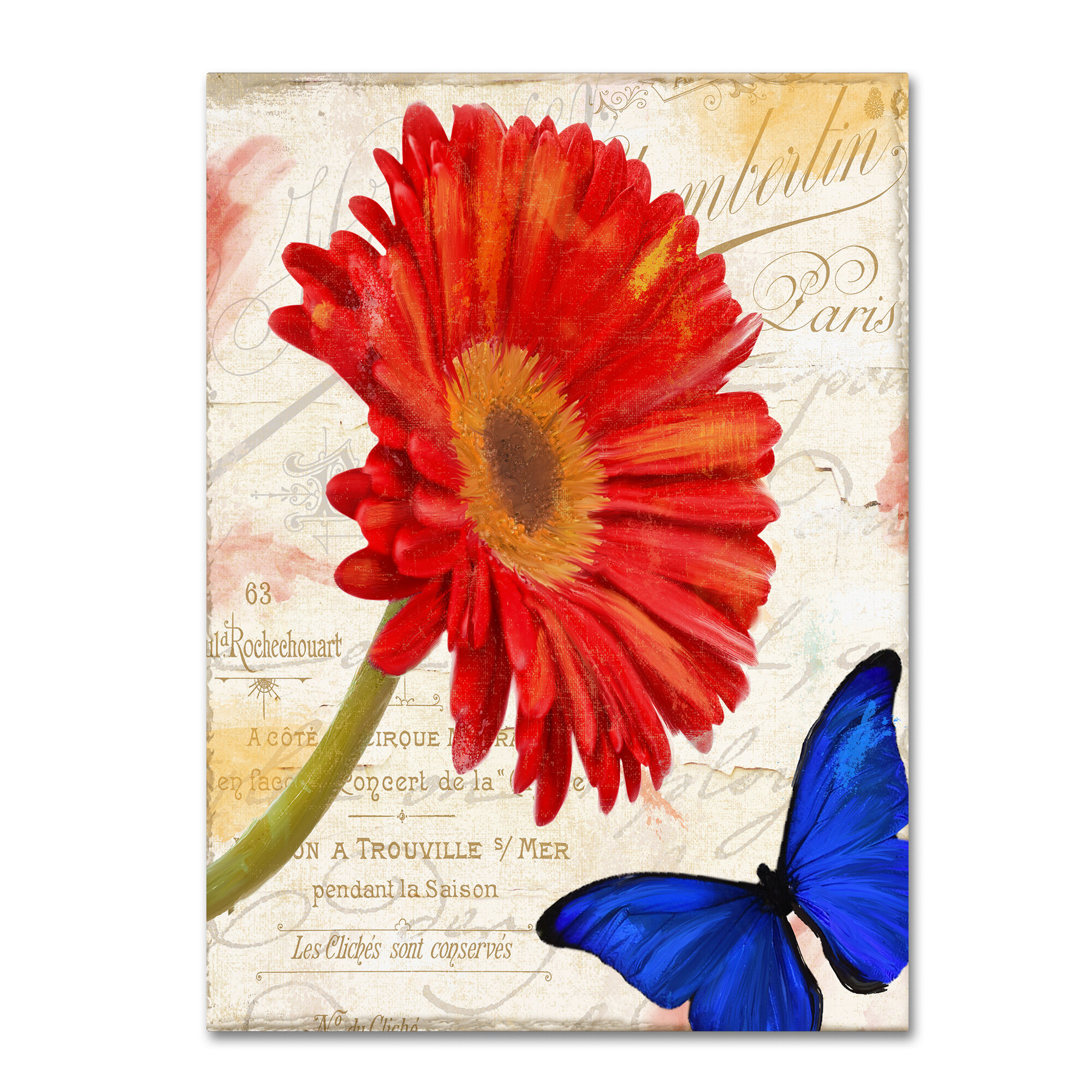 Trademark Art Gerbera Daisy By Color Bakery Graphic Art On Wrapped Canvas Wayfair