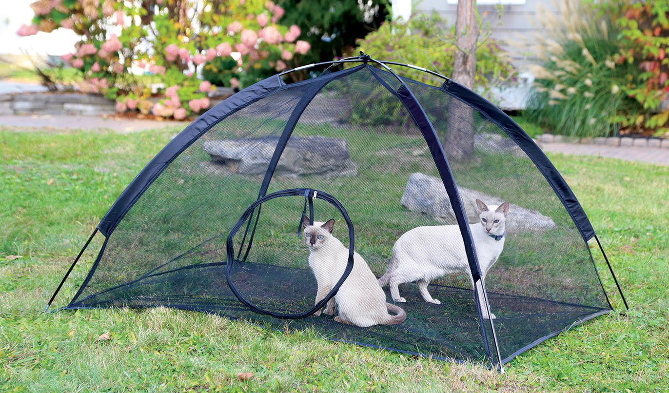 portable cat playpen