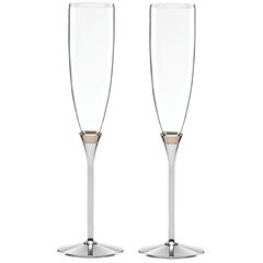 Wayfair | Champagne Glasses kate spade new york Drinkware| Up to 65% Off  Until 11/20 | Wayfair